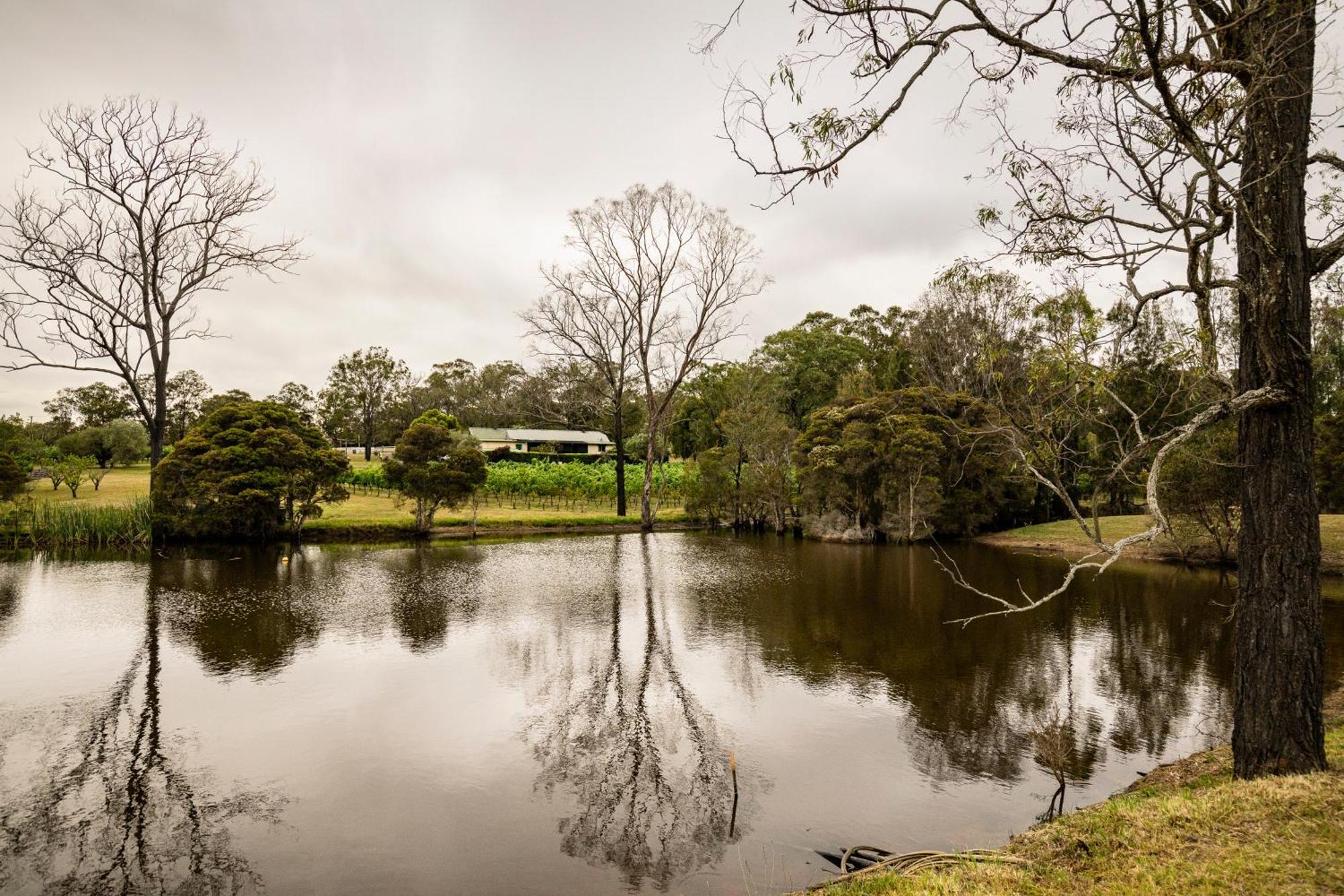 Mccaffrey'S Estate Hotel Pokolbin Exterior foto